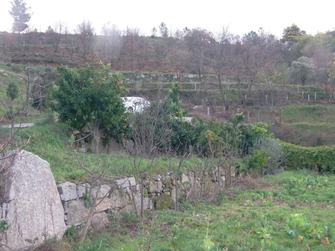 Quinta T0 para Venda em Vela Foto 13