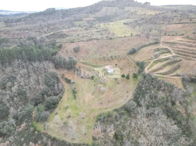 Terreno para Venda em Rabal Foto 6