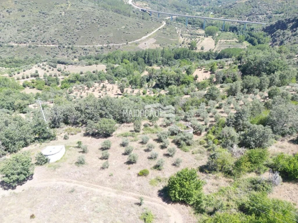 Terreno para Venda em Quintanilha Foto 5