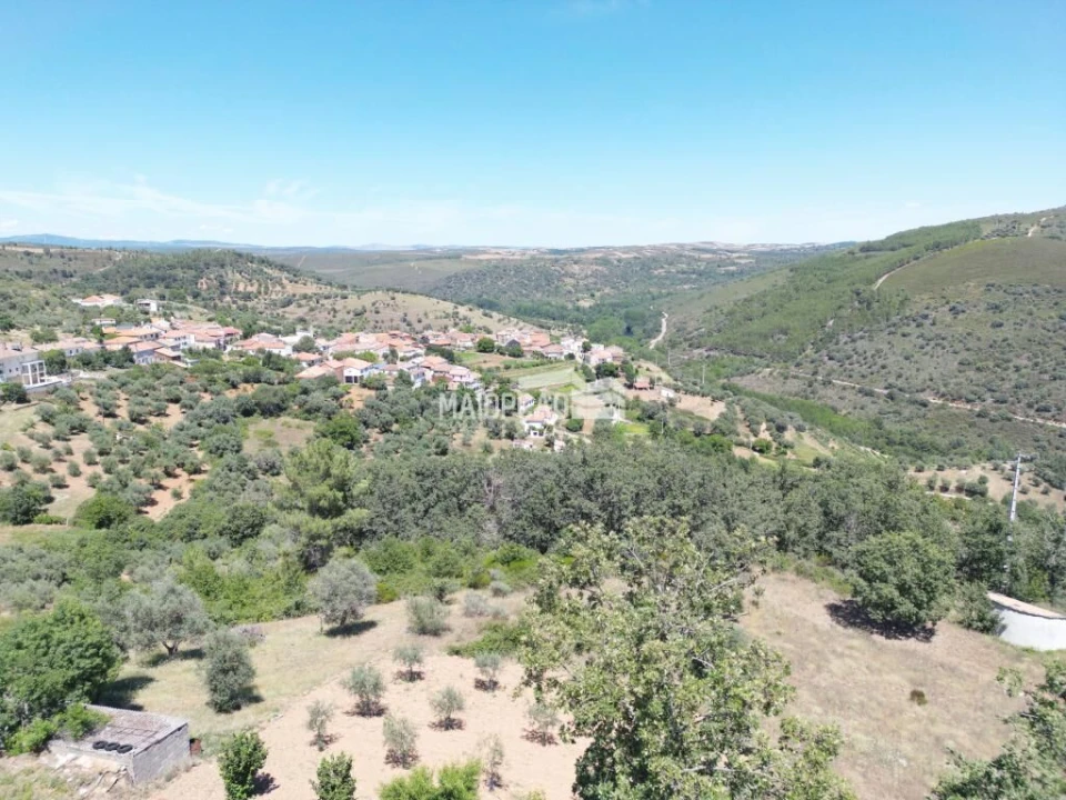 Terreno para Venda em Quintanilha Foto 9