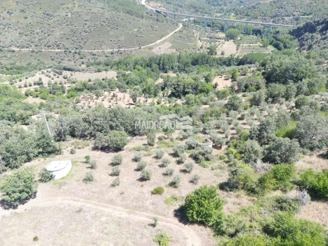 Terreno para Venda em Quintanilha Foto 5