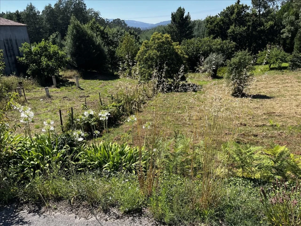 Terreno para Venda em Arrifana Foto 2