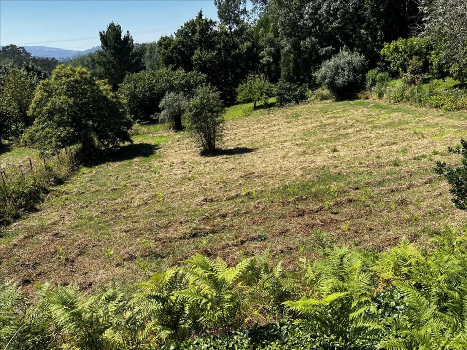 Terreno para Venda em Arrifana Foto 3
