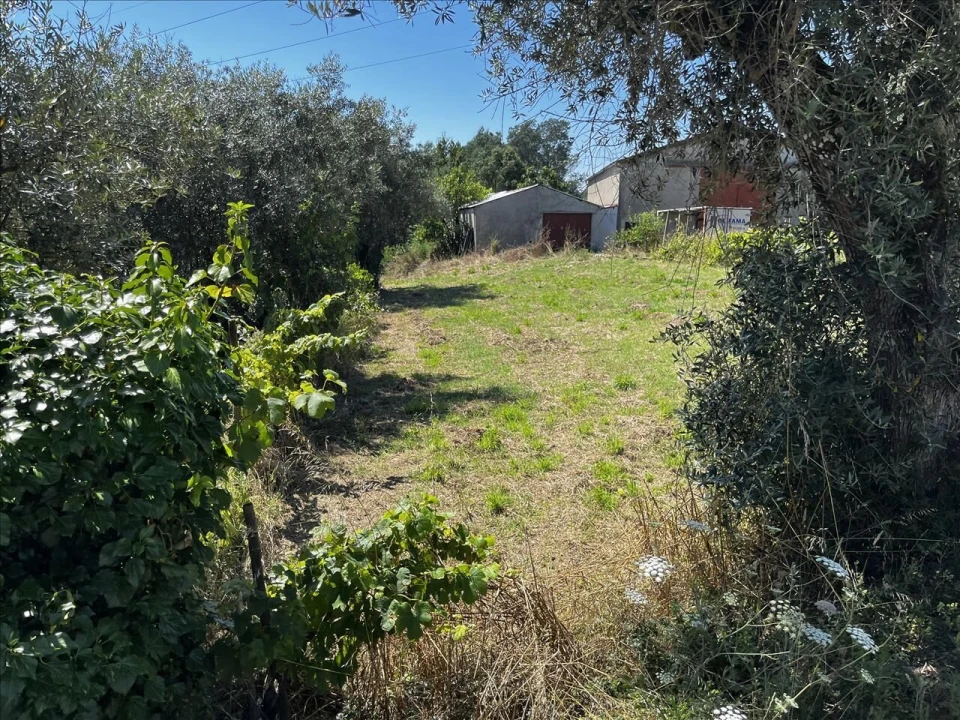 Terreno para Venda em Arrifana Foto 6