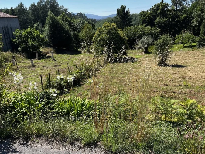 Terreno para Venda em Arrifana Foto 2
