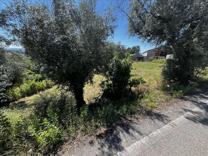 Terreno para Venda em Arrifana Foto 11