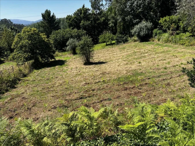 Terreno para Venda em Arrifana Foto 3