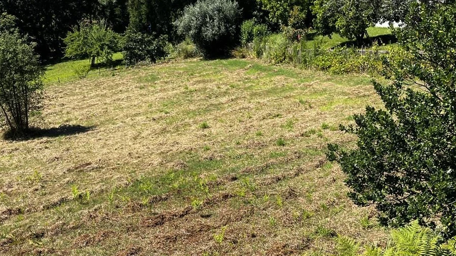 Terreno para Venda em Arrifana
