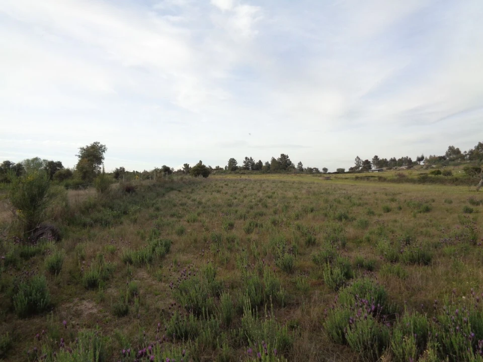 Terreno para Venda em São Miguel de Acha Foto 8