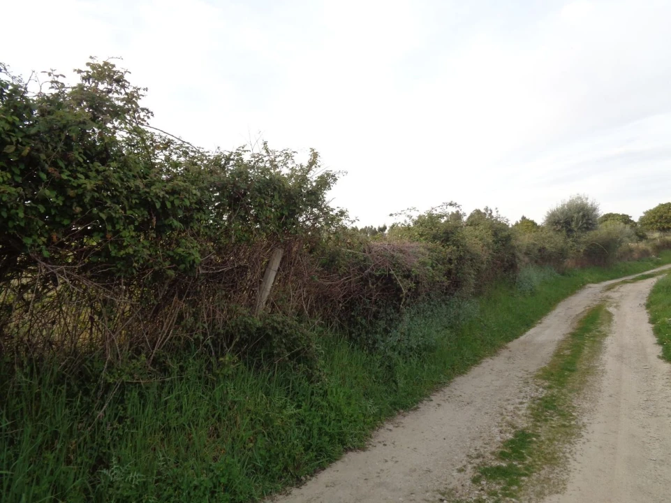 Terreno para Venda em São Miguel de Acha Foto 10