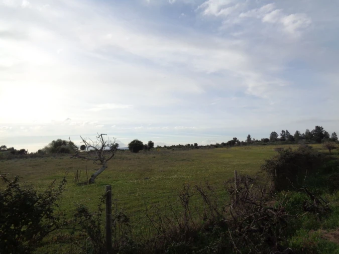 Terreno para Venda em São Miguel de Acha Foto 4