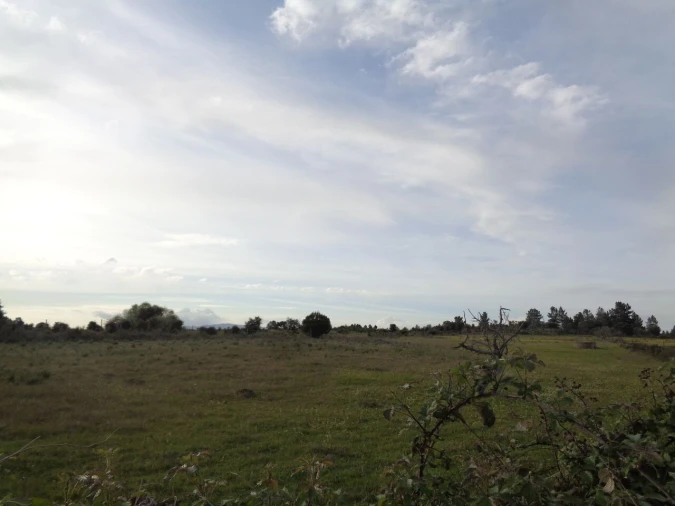 Terreno para Venda em São Miguel de Acha Foto 5