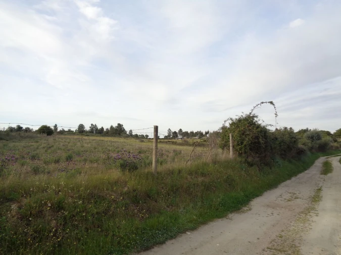 Terreno para Venda em São Miguel de Acha Foto 9