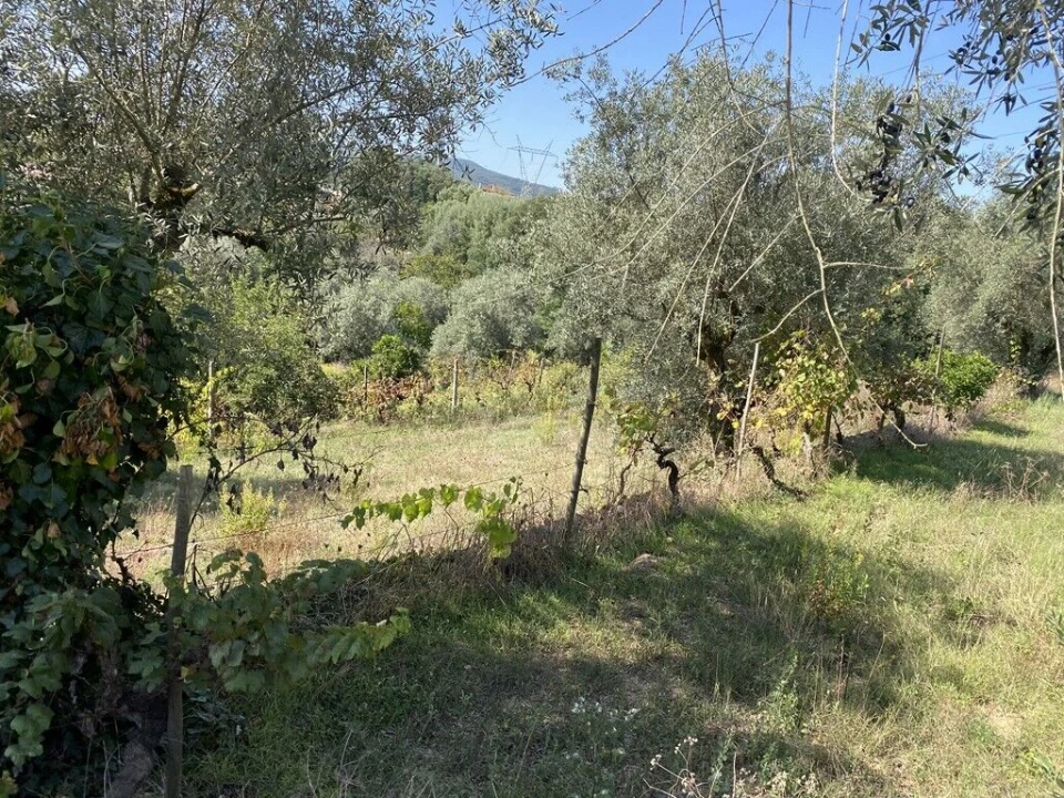 Terreno para Venda em Arrifana Foto 2