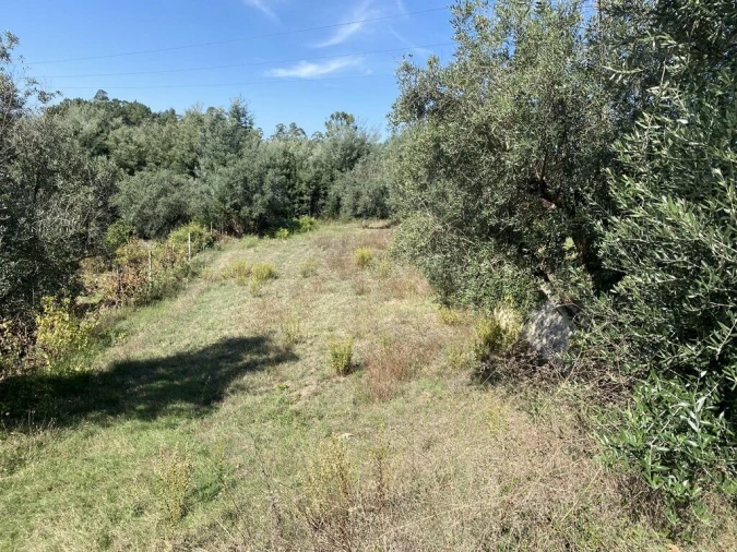 Terreno para Venda em Arrifana Foto 6