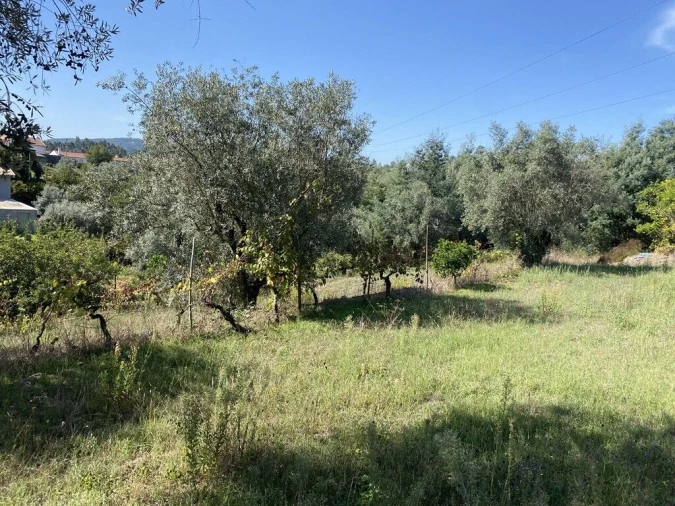 Terreno para Venda em Arrifana Foto 8