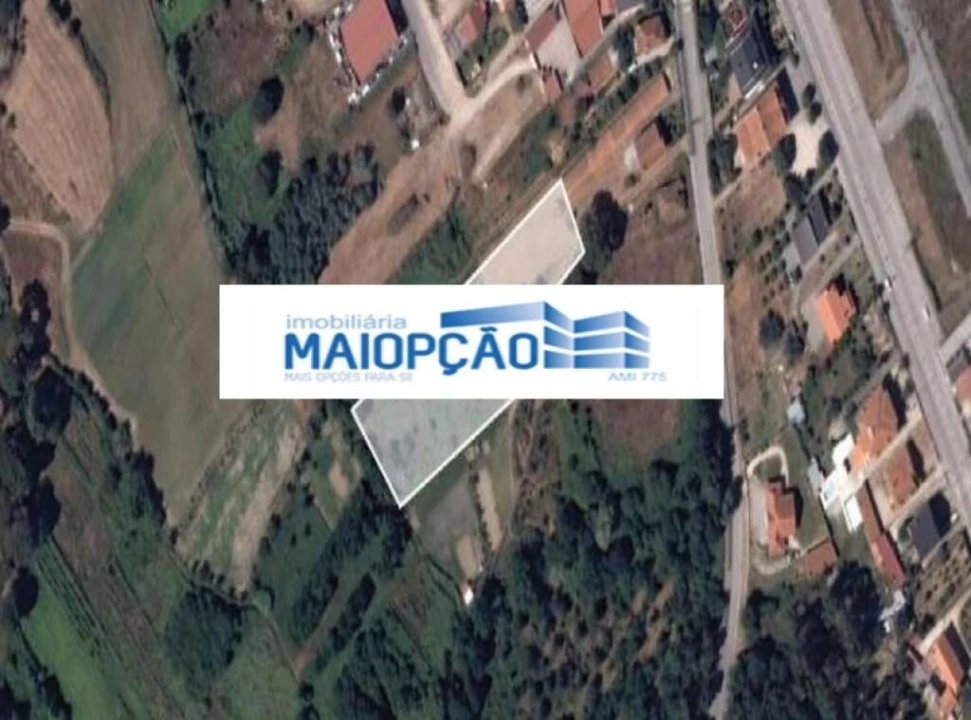 Terreno para Venda em Campo de Besteiros Foto 1