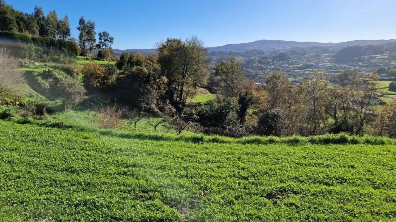 Terreno para Venda em Mozelos Foto 2