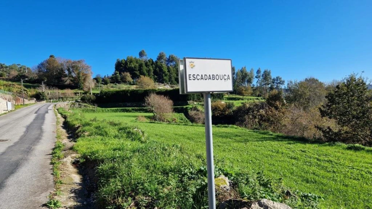 Terreno para Venda em Mozelos Foto 7