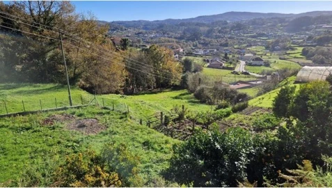 Terreno para Venda em Mozelos