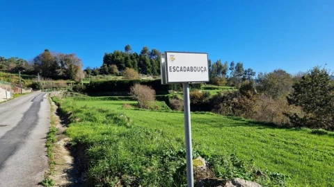Terreno para Venda em Mozelos