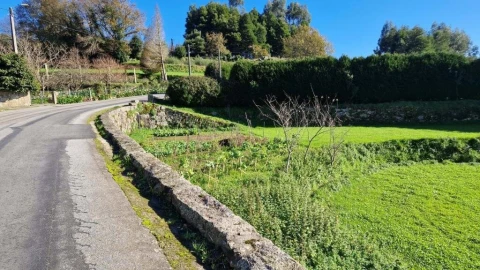 Terreno para Venda em Mozelos
