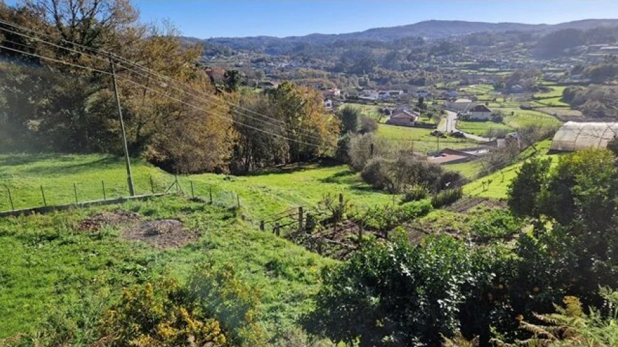 Terreno para Venda em Mozelos