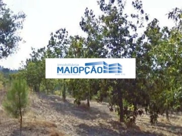 Terreno para Venda em Moimenta da Beira