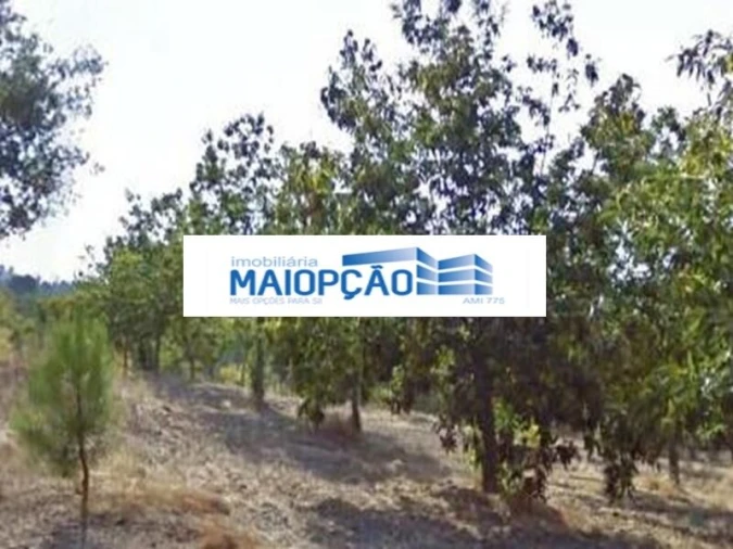 Terreno para Venda em Moimenta da Beira