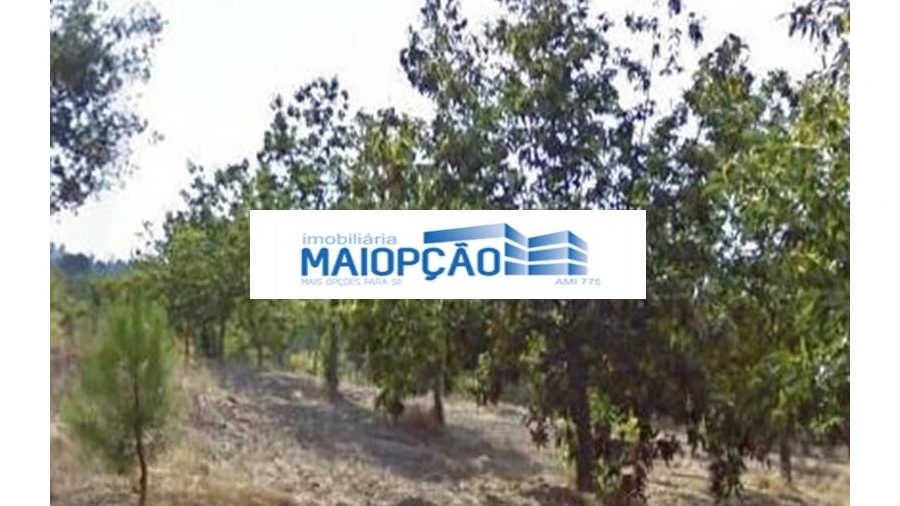 Terreno para Venda em Moimenta da Beira