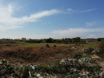Terreno para Venda em Cacia