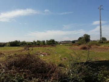 Terreno para Venda em Cacia