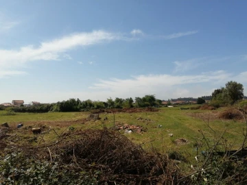 Terreno para Venda em Cacia
