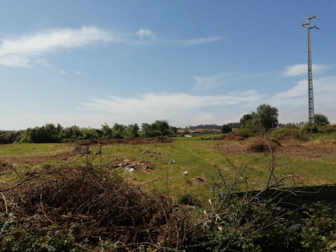 Terreno para Venda em Cacia Foto 4