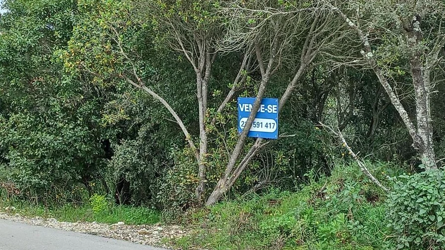 Terreno para Venda em Nossa Senhora das Misericordias