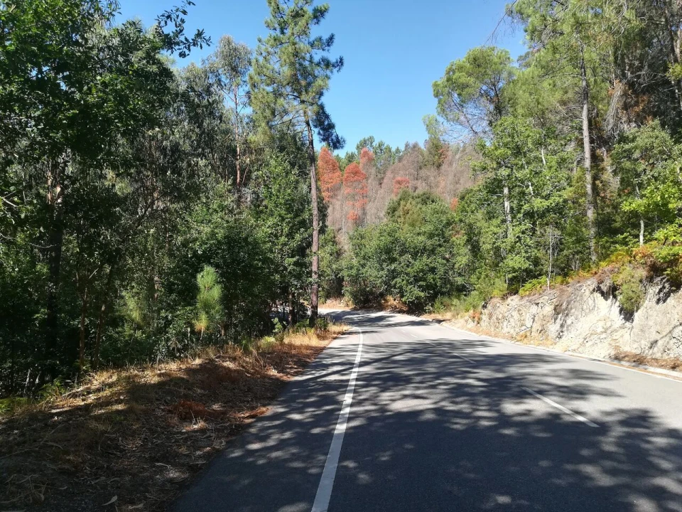 Terreno para Venda em Castelões Foto 6