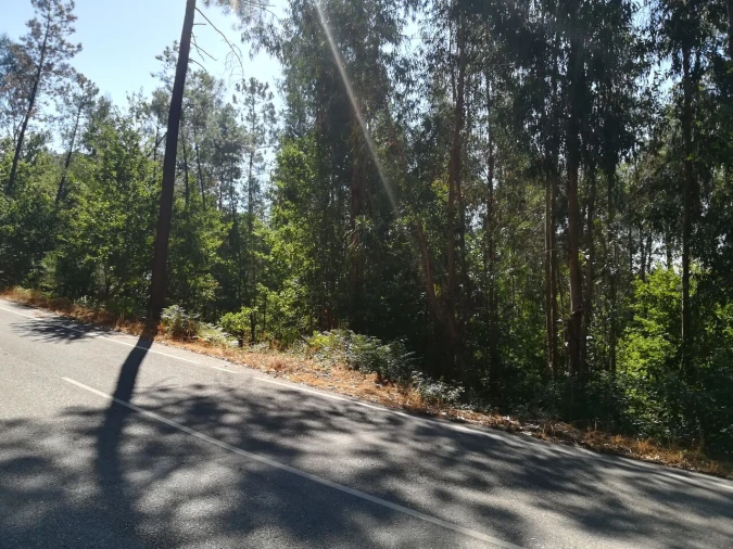 Terreno para Venda em Castelões Foto 13