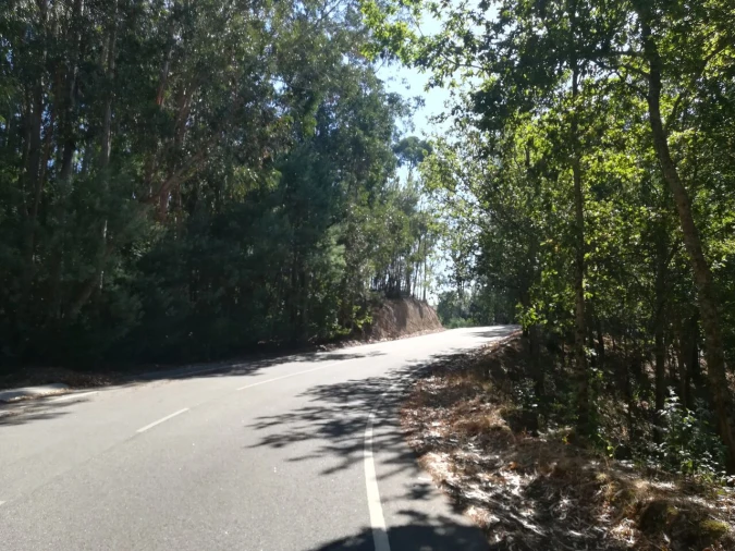 Terreno para Venda em Castelões Foto 5