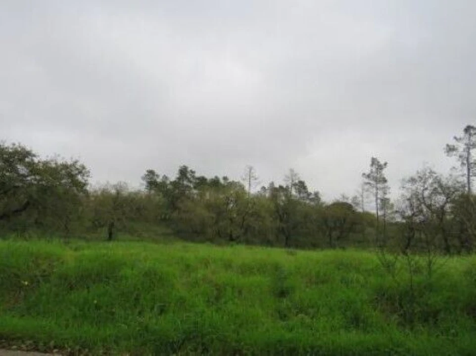 Terreno para Venda em São Pedro de Tomar Foto 1