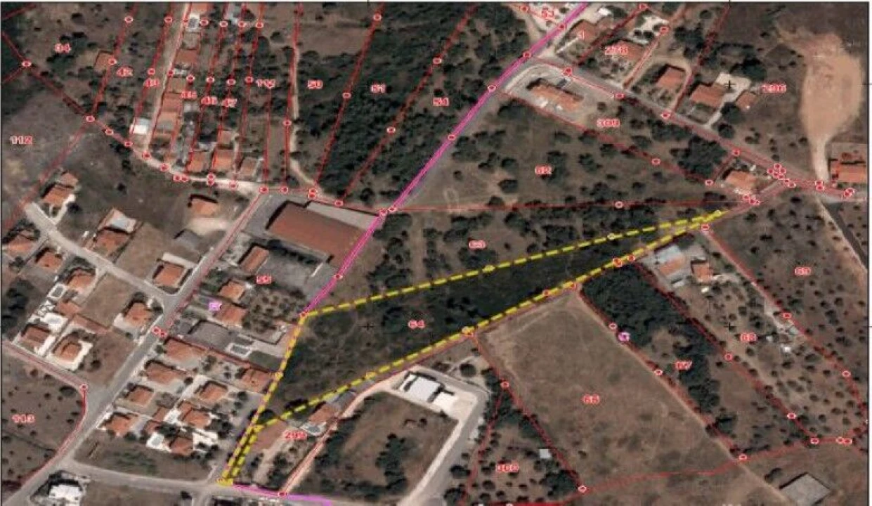 Terreno para Venda em São Pedro de Tomar Foto 6