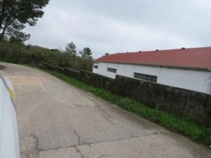 Terreno para Venda em São Pedro de Tomar Foto 4