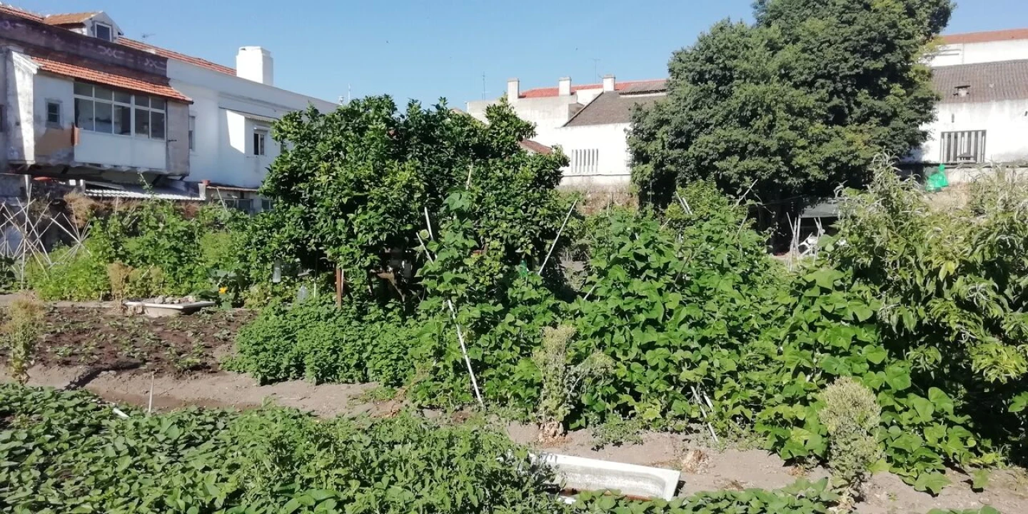 Moradia T0 para Venda em Setubal (São Sebastião) Foto 4