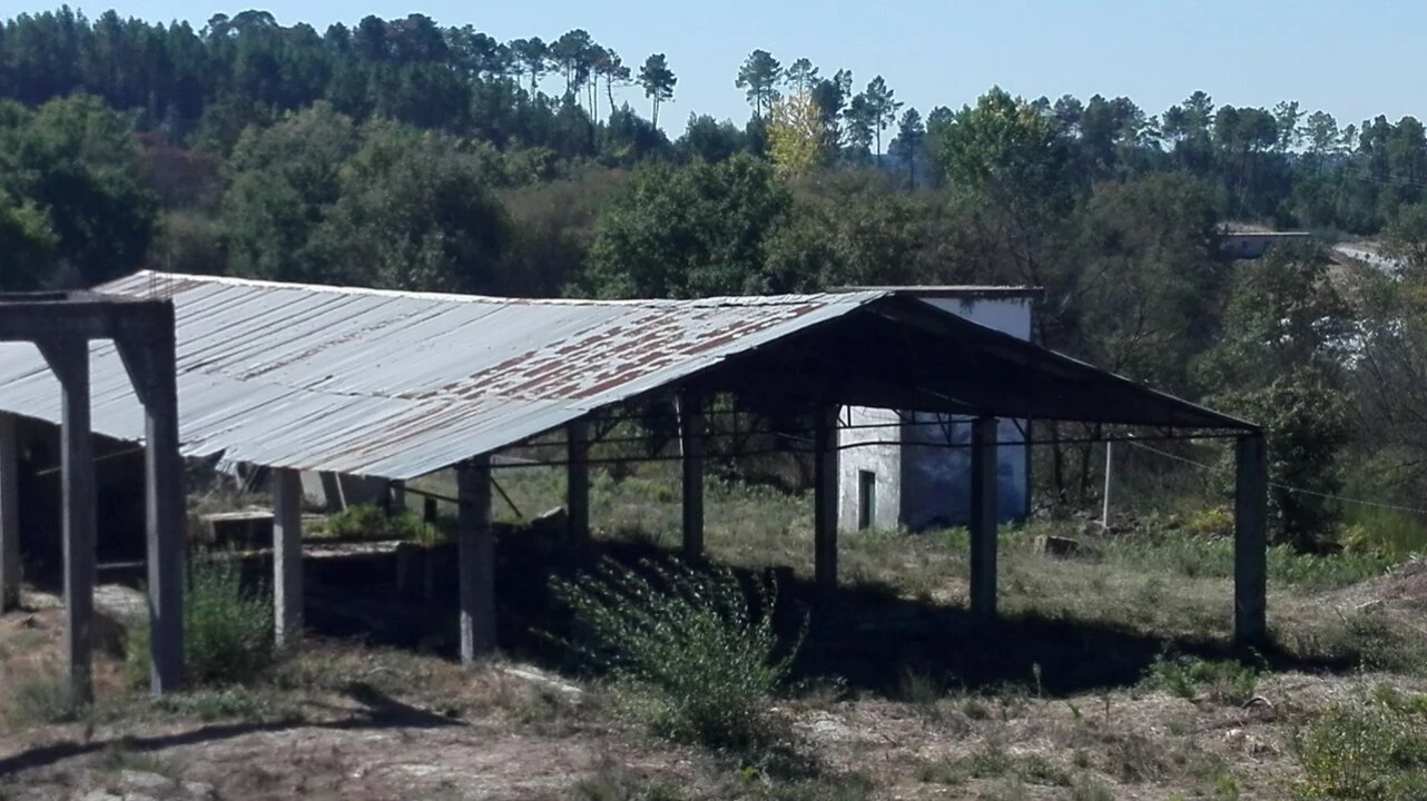 Armazém para Venda em Cunha Baixa Foto 1
