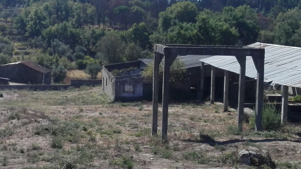 Armazém para Venda em Cunha Baixa Foto 2