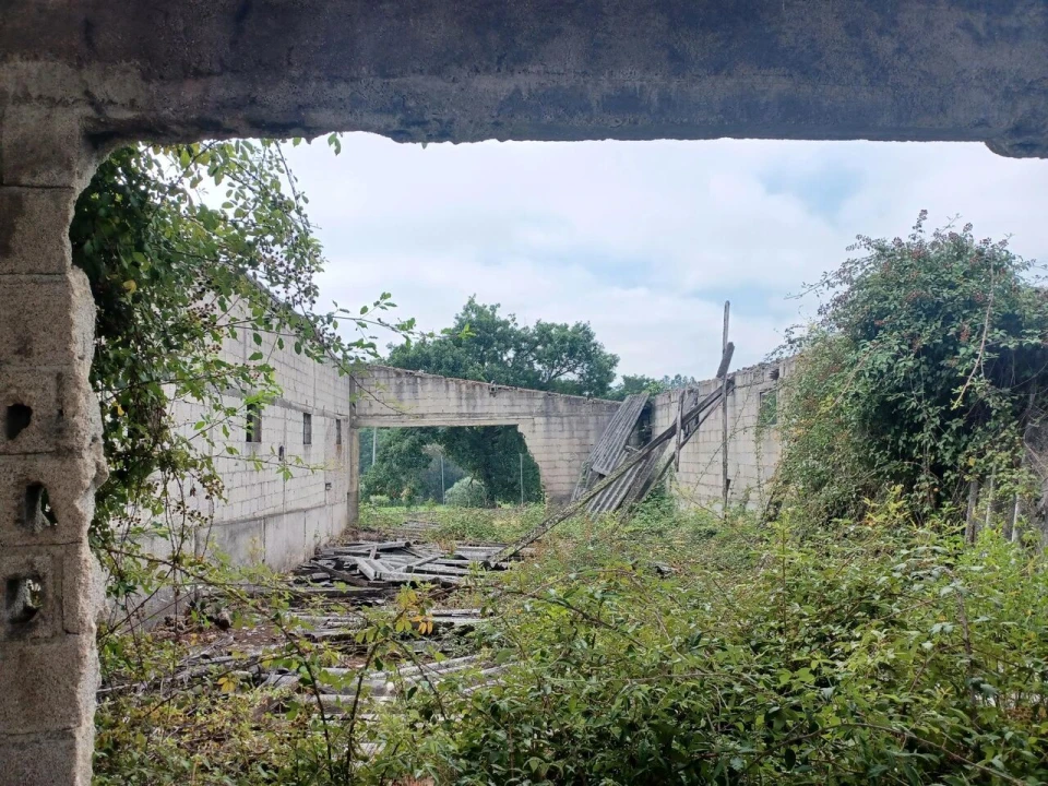 Armazém para Venda em Cunha Baixa Foto 4