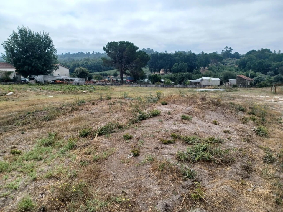 Armazém para Venda em Cunha Baixa Foto 5