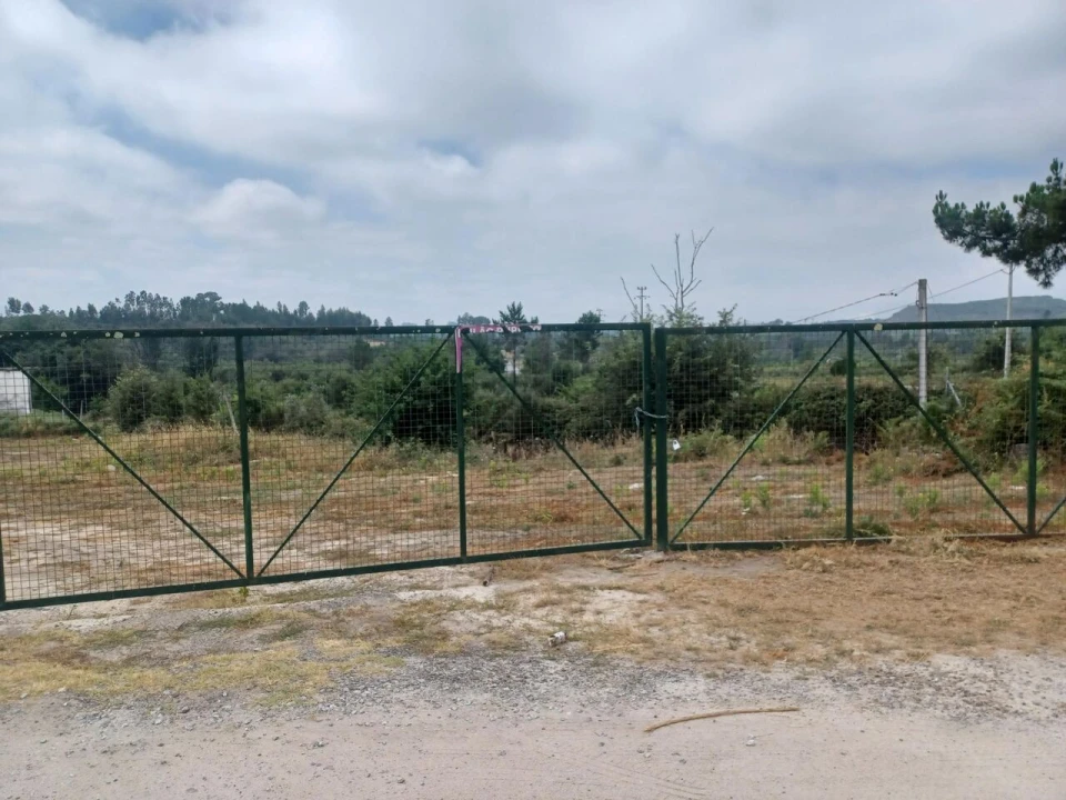 Armazém para Venda em Cunha Baixa Foto 8