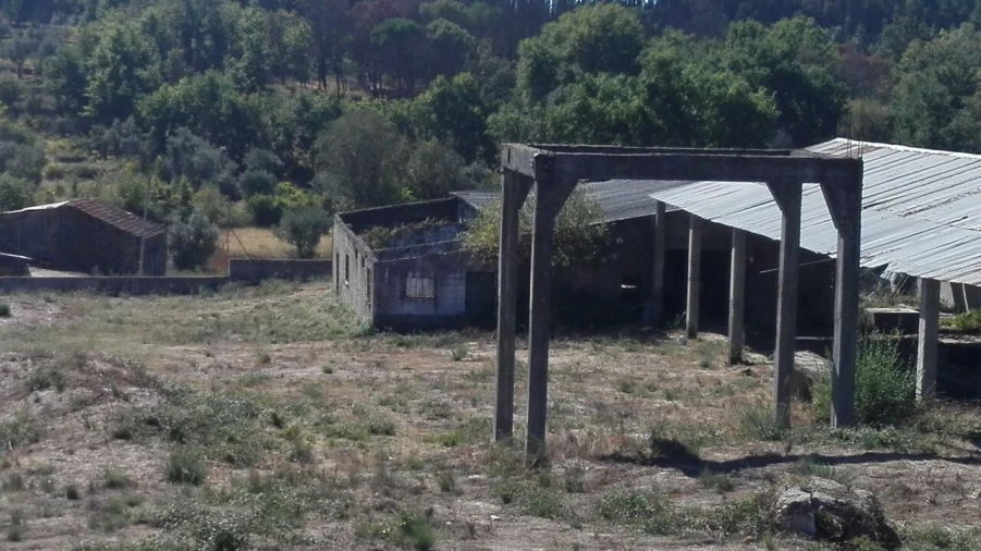 Armazém para Venda em Cunha Baixa Foto 2