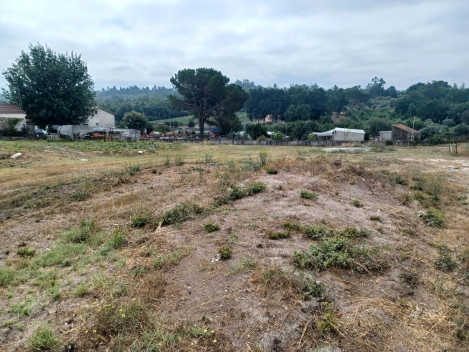 Armazém para Venda em Cunha Baixa Foto 5