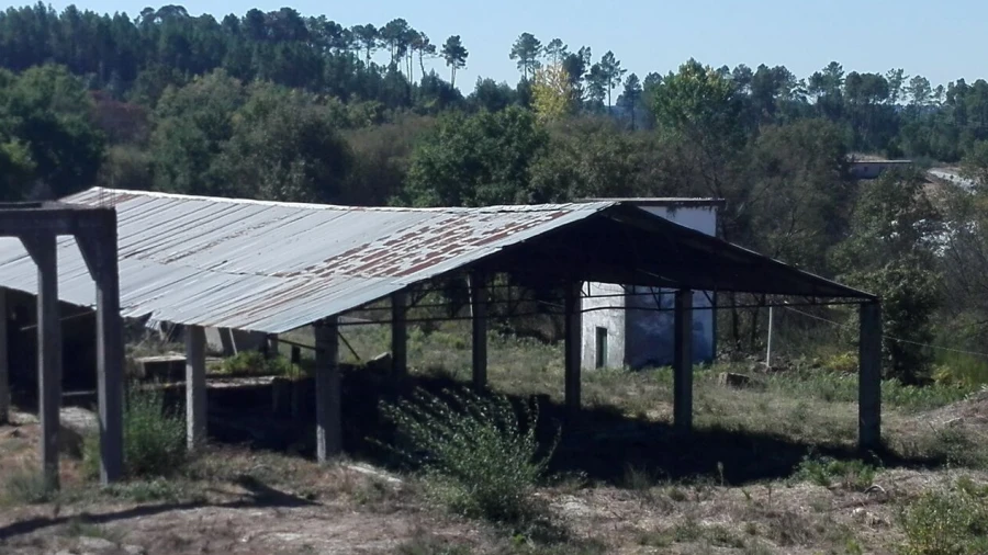Armazém para Venda em Cunha Baixa